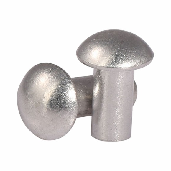 Stainless Steel Hollow Rivet